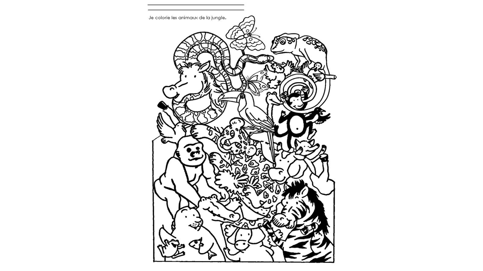 Dibujo Para Colorear De Animales Salvajes De La Selva 648 Dibujo para colorear de animales salvajes de la selva 648