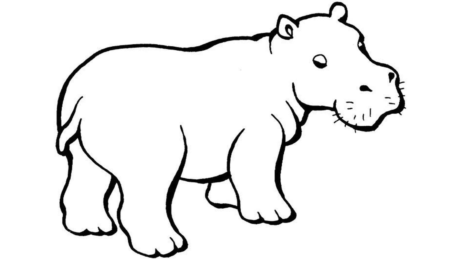 Dibujo de Hipopótamo para colorear y pintar #4747