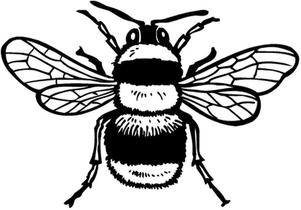 Abeja #11