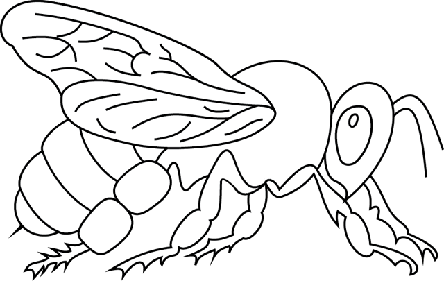 Abeja #27