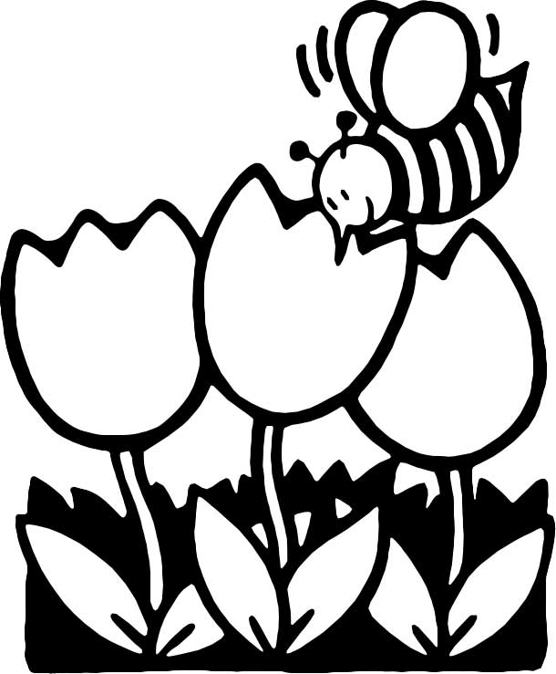 Abeja #29