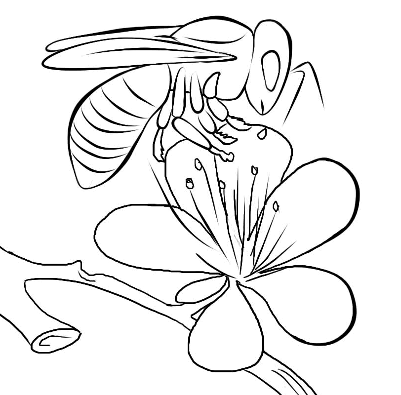Abeja #7