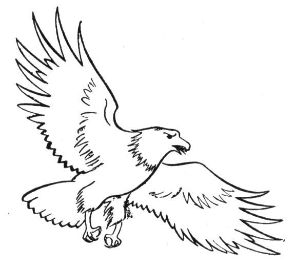 Águila #74