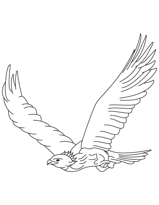 Águila #75