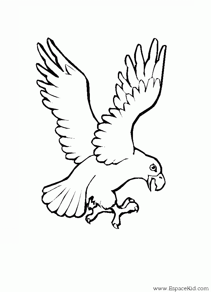 Águila #76