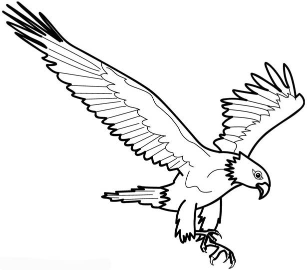 Águila #82