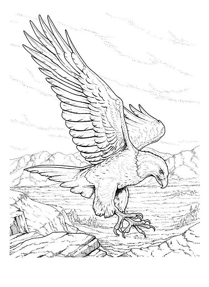 Águila #83