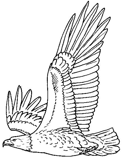 Águila #88