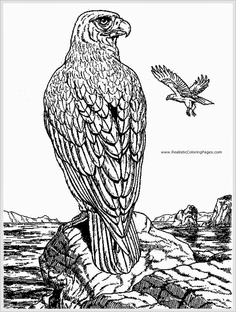 Águila #91