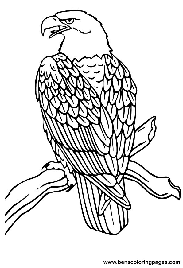 Águila #96