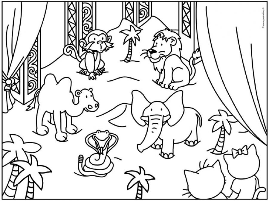 Animales de circo #112