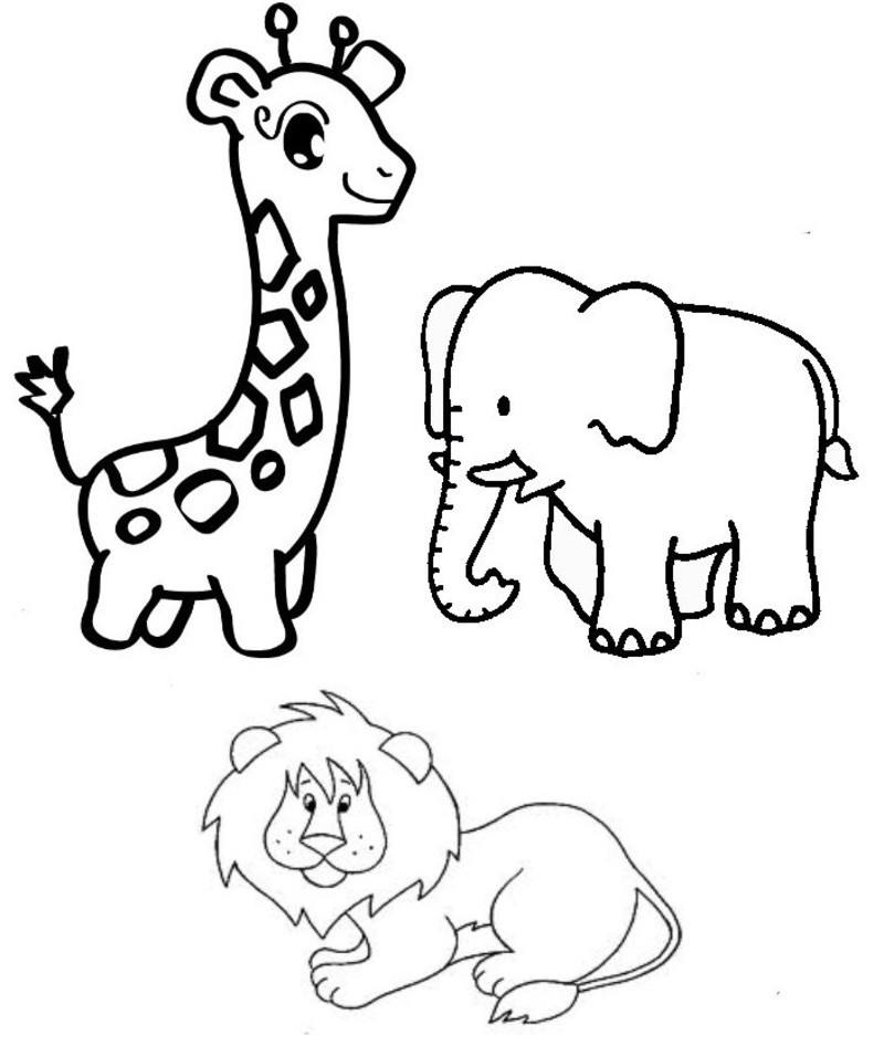 Animales de circo #113