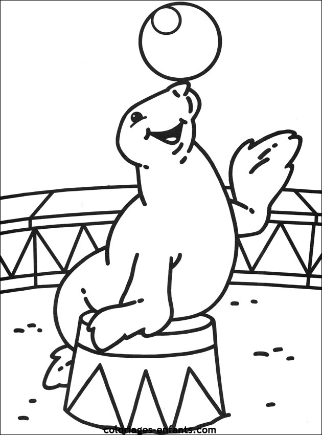 Animales de circo #126