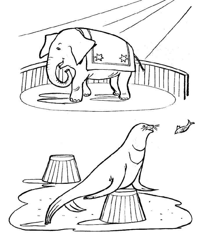 Animales de circo #144