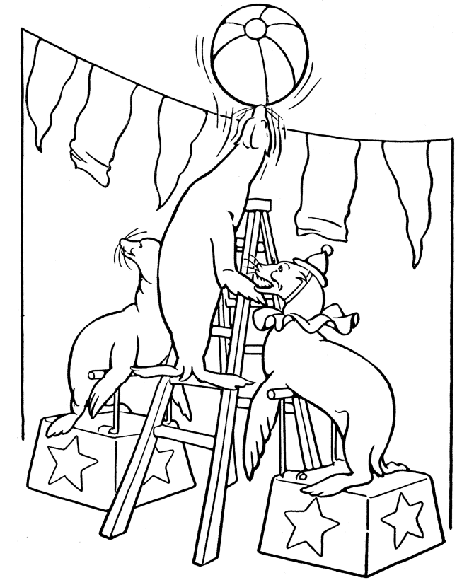 Animales de circo #163