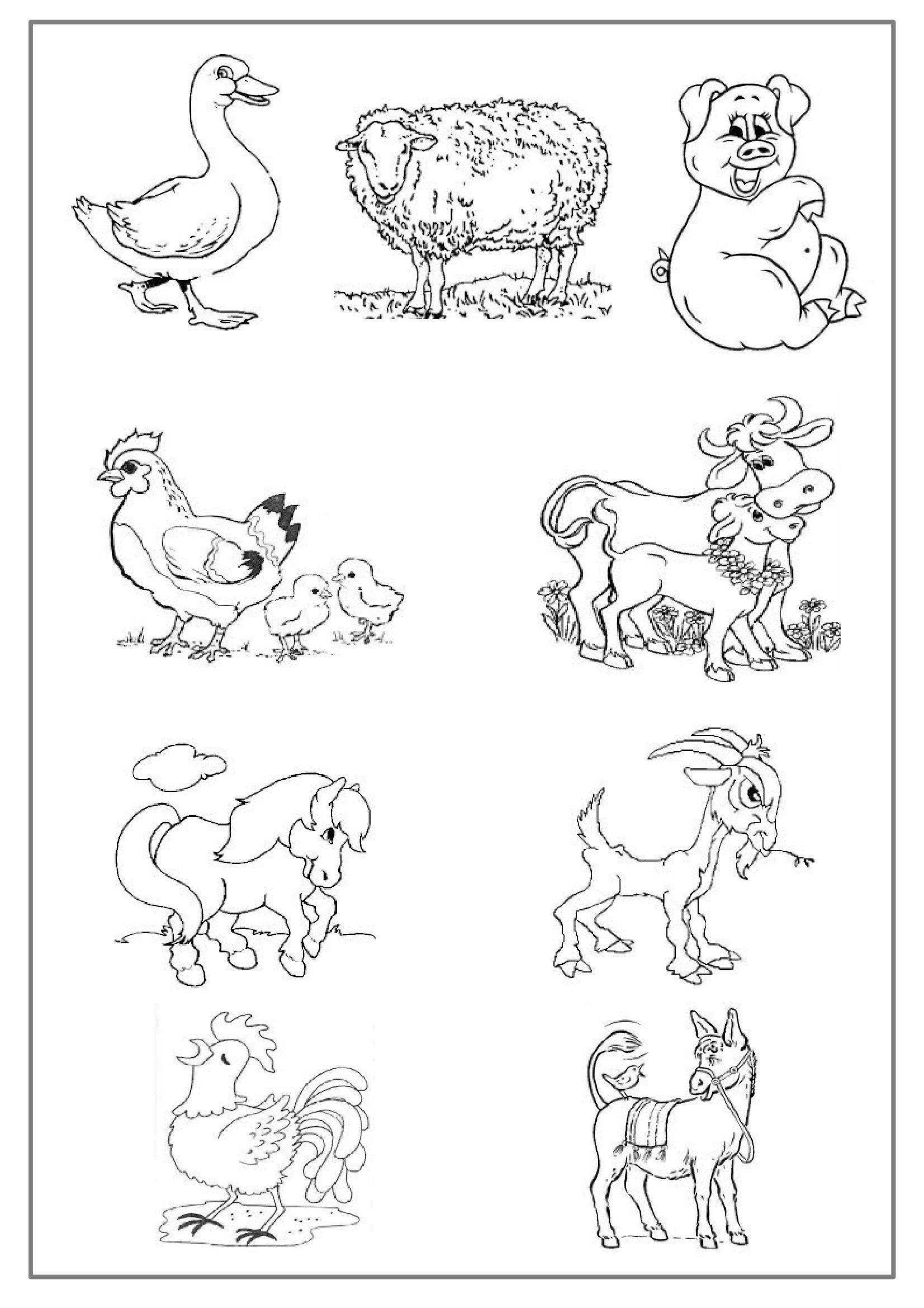 Dibujo de Animales de granja para colorear y pintar #178