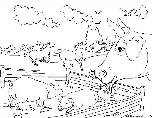 Animales de granja #180