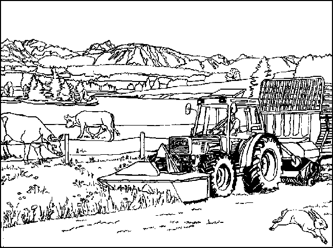 Animales de granja #186