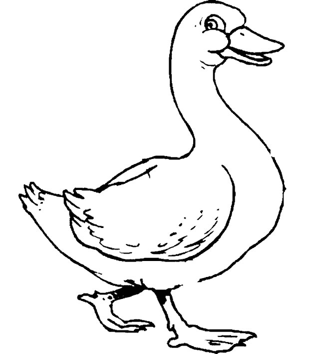 Animales de granja #187