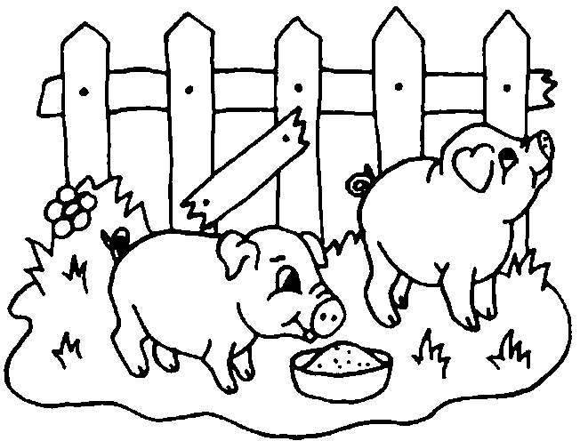 Animales de granja #222