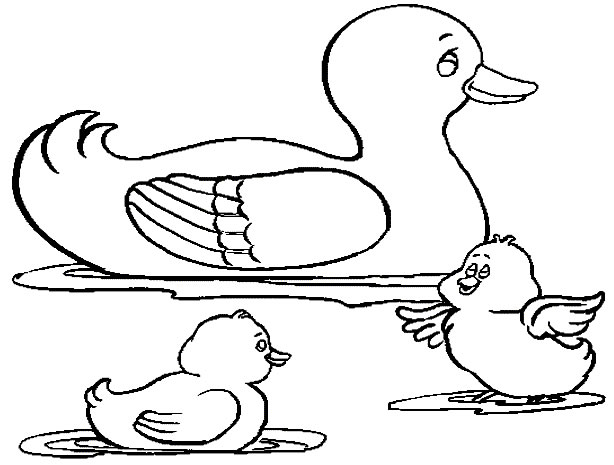 Animales de granja #224