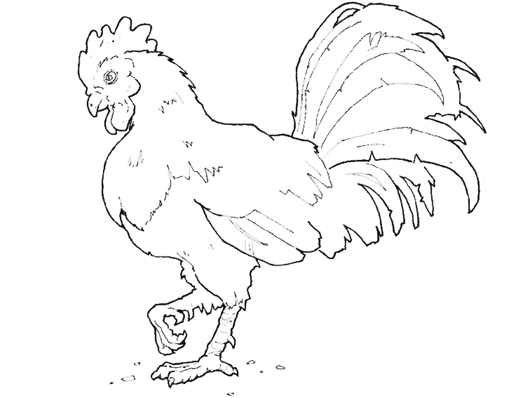 Animales de granja #225