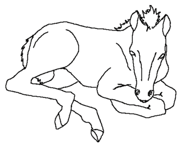 Animales de granja #252