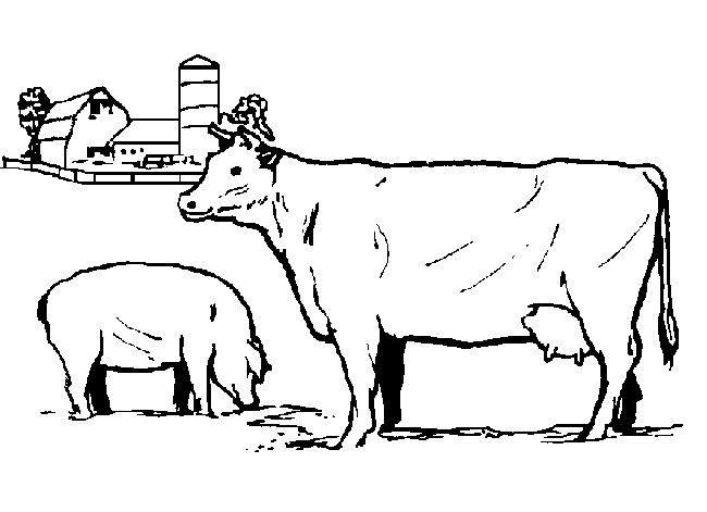Animales de granja #255