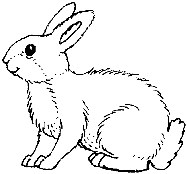 Animales de granja #257