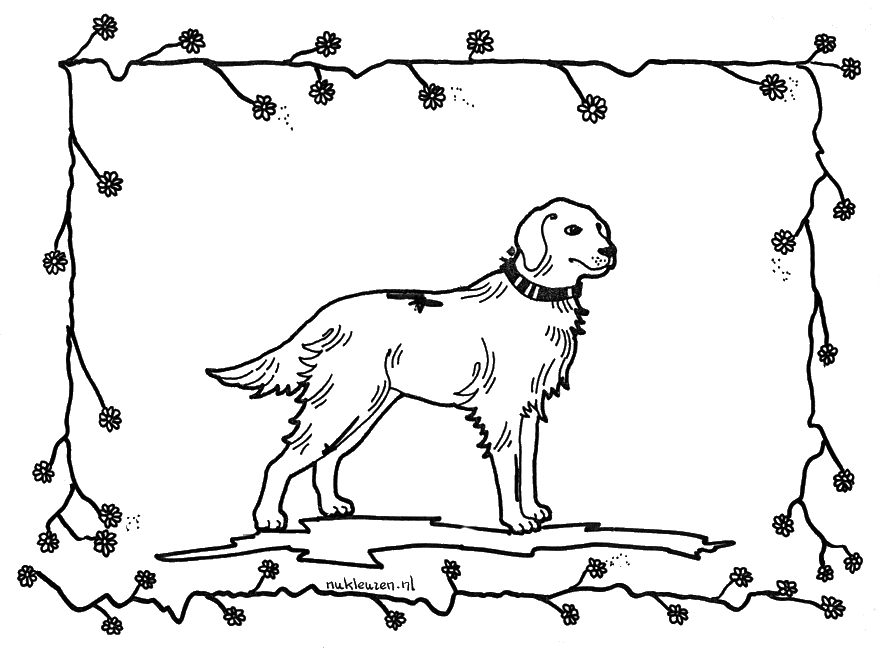 Animales de granja #264