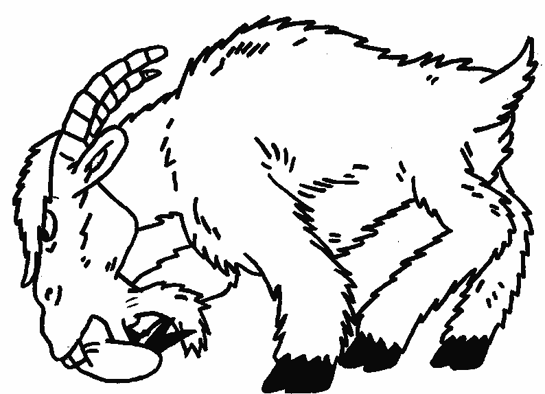 Animales de granja #285