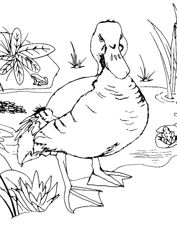 Animales de granja #299