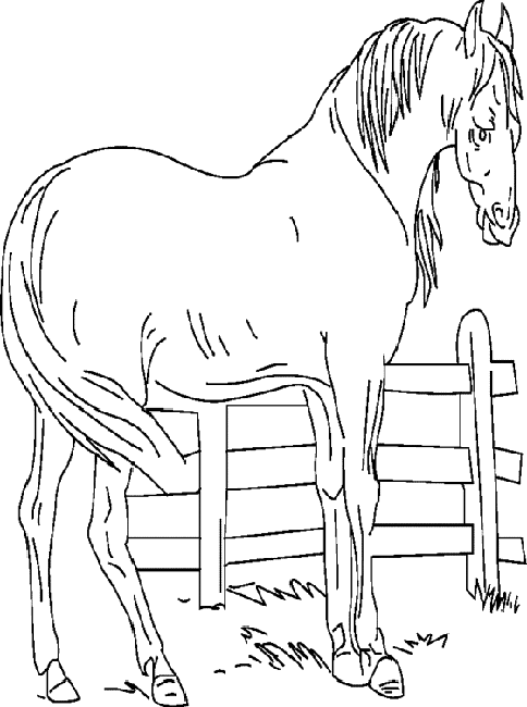Animales de granja #302