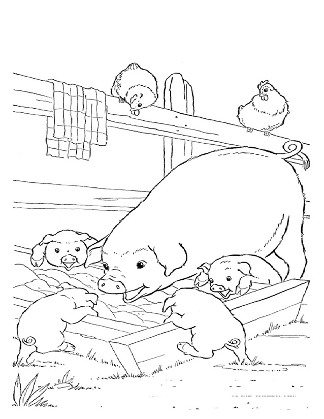 Animales de granja #310