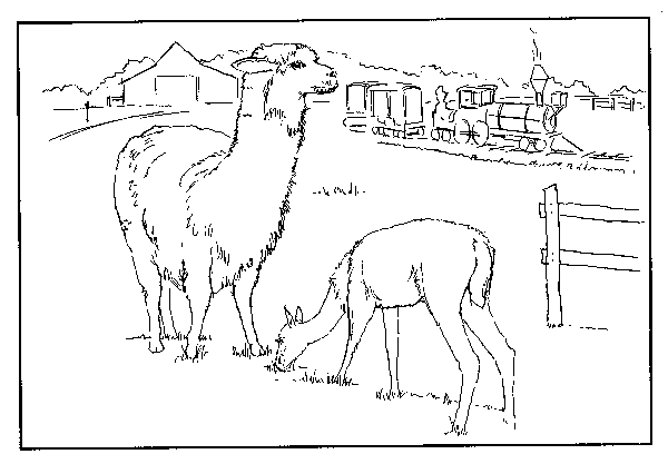 Animales de granja #325