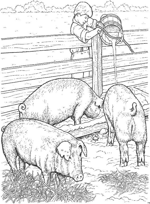Animales de granja #329