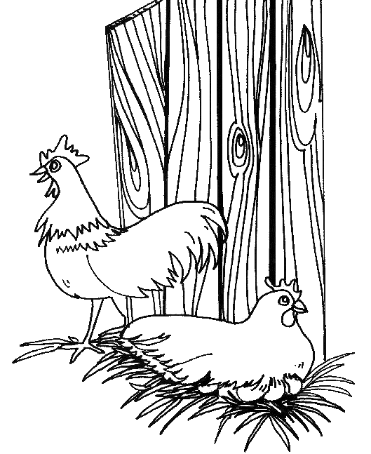 Animales de granja #350