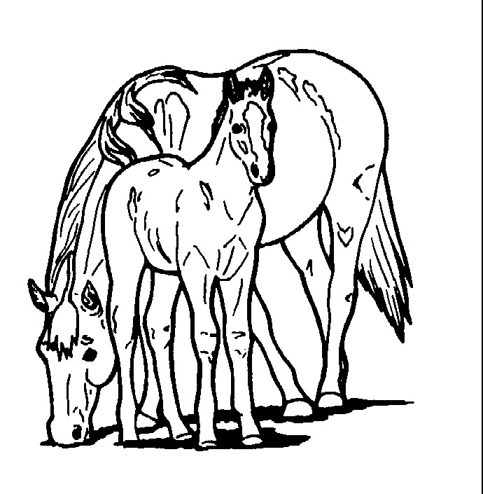 Animales de granja #359