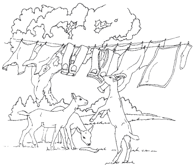 Animales de granja #364