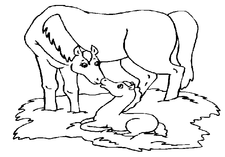Animales de granja #377