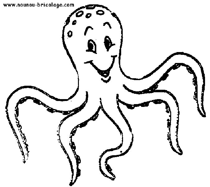 Animales marinos #385