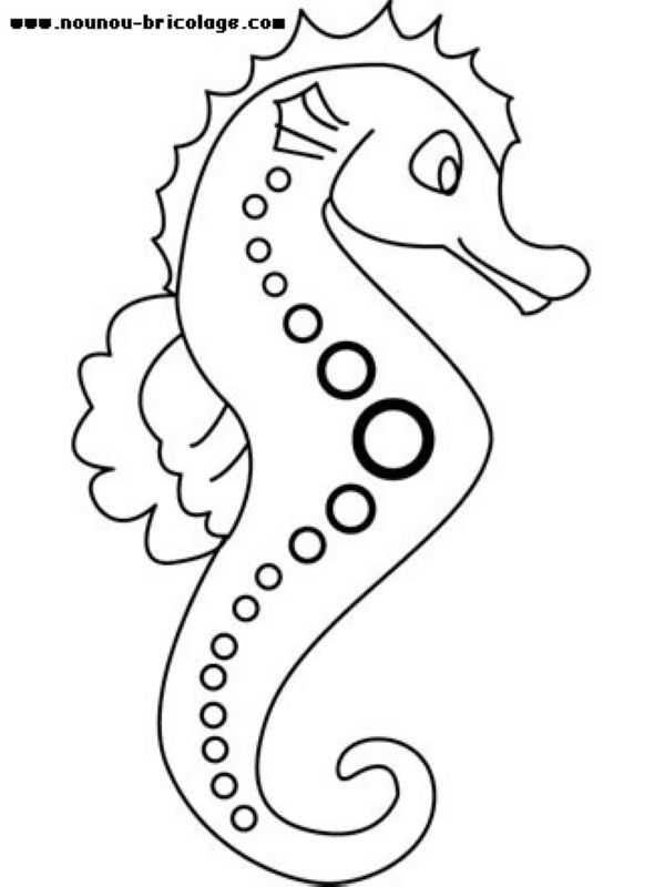 Animales marinos #386