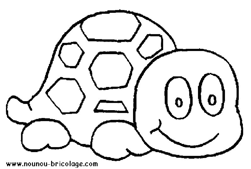 Animales marinos #387