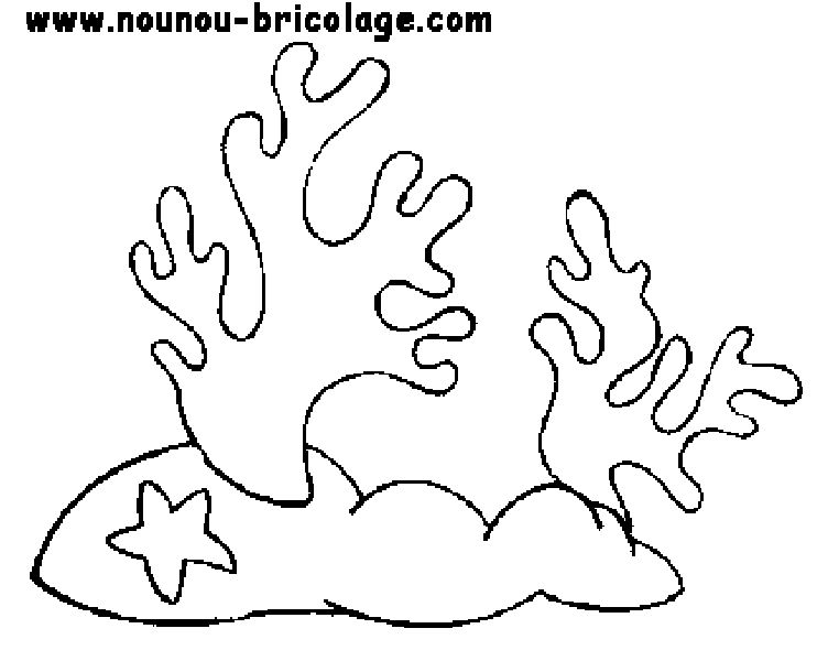 Animales marinos #388