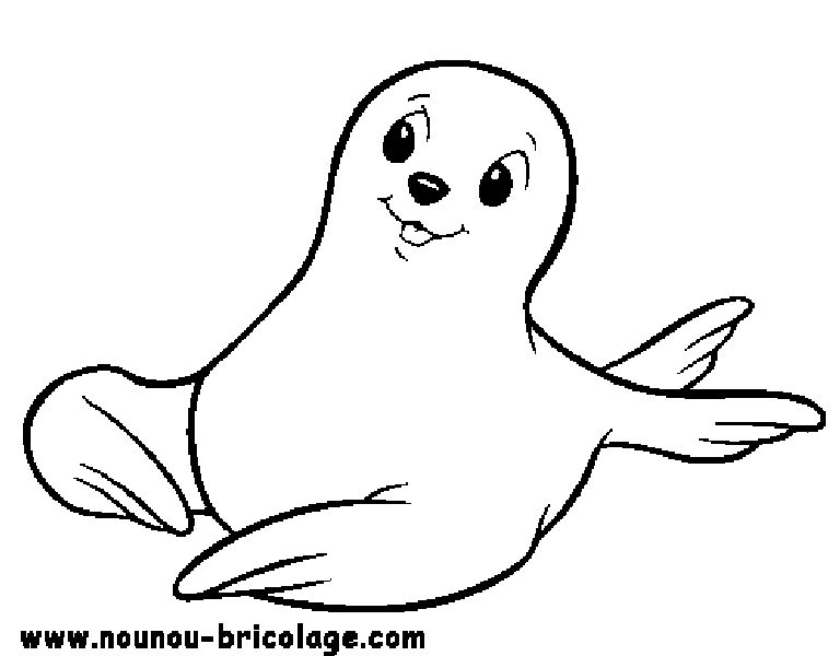 Animales marinos #391