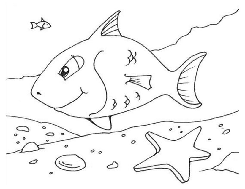 Animales marinos #409
