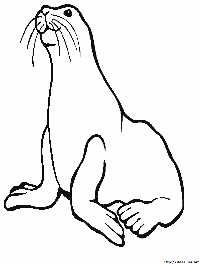 Animales marinos #415