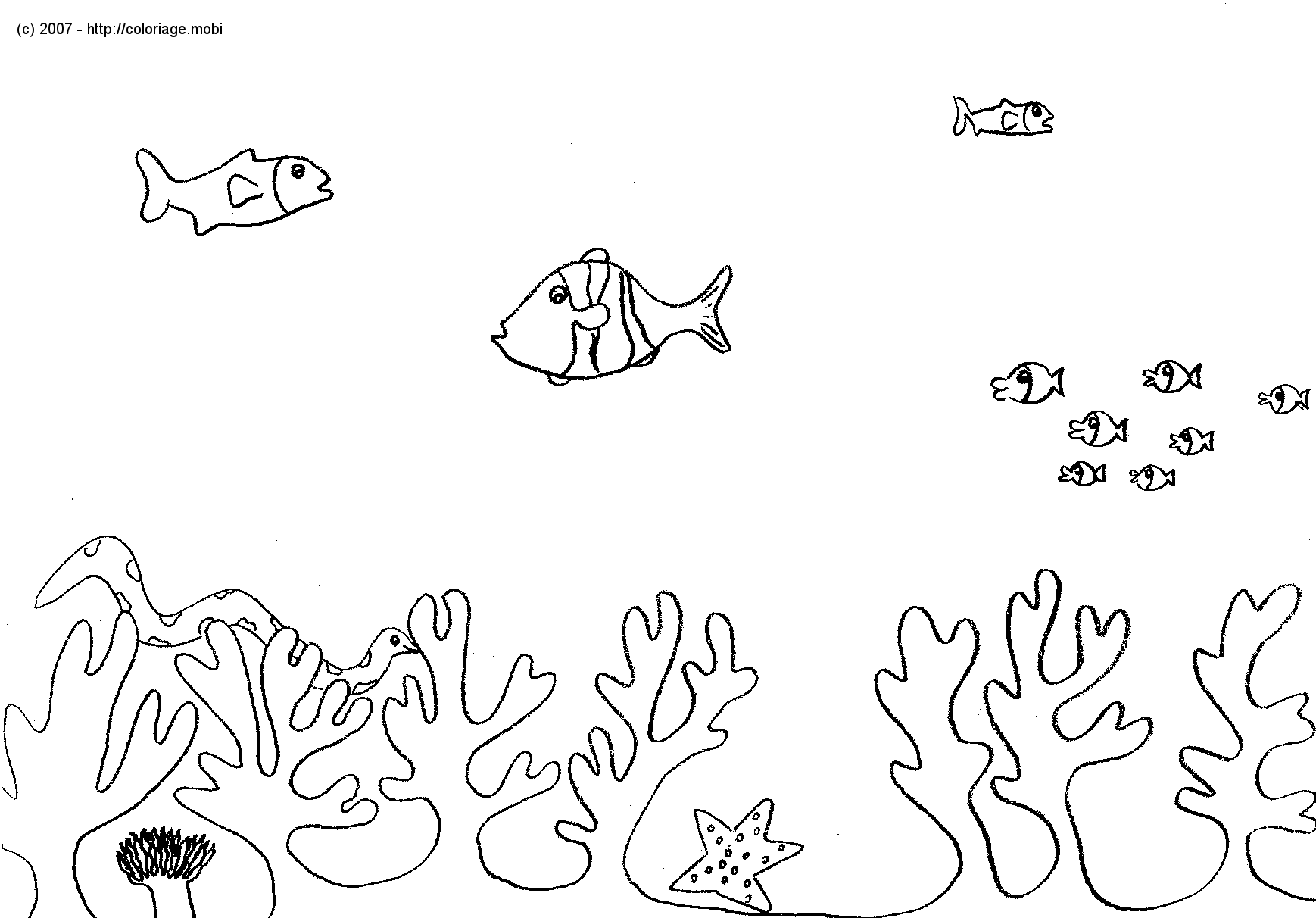 Animales marinos #419