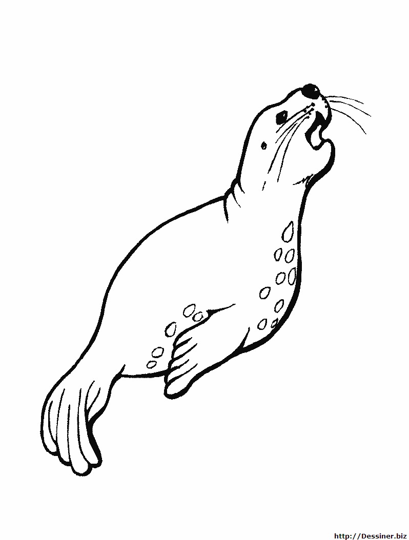 Animales marinos #433