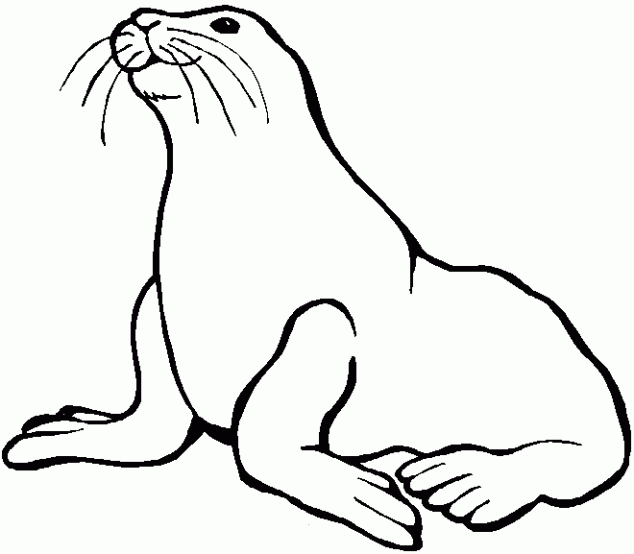 Animales marinos #435